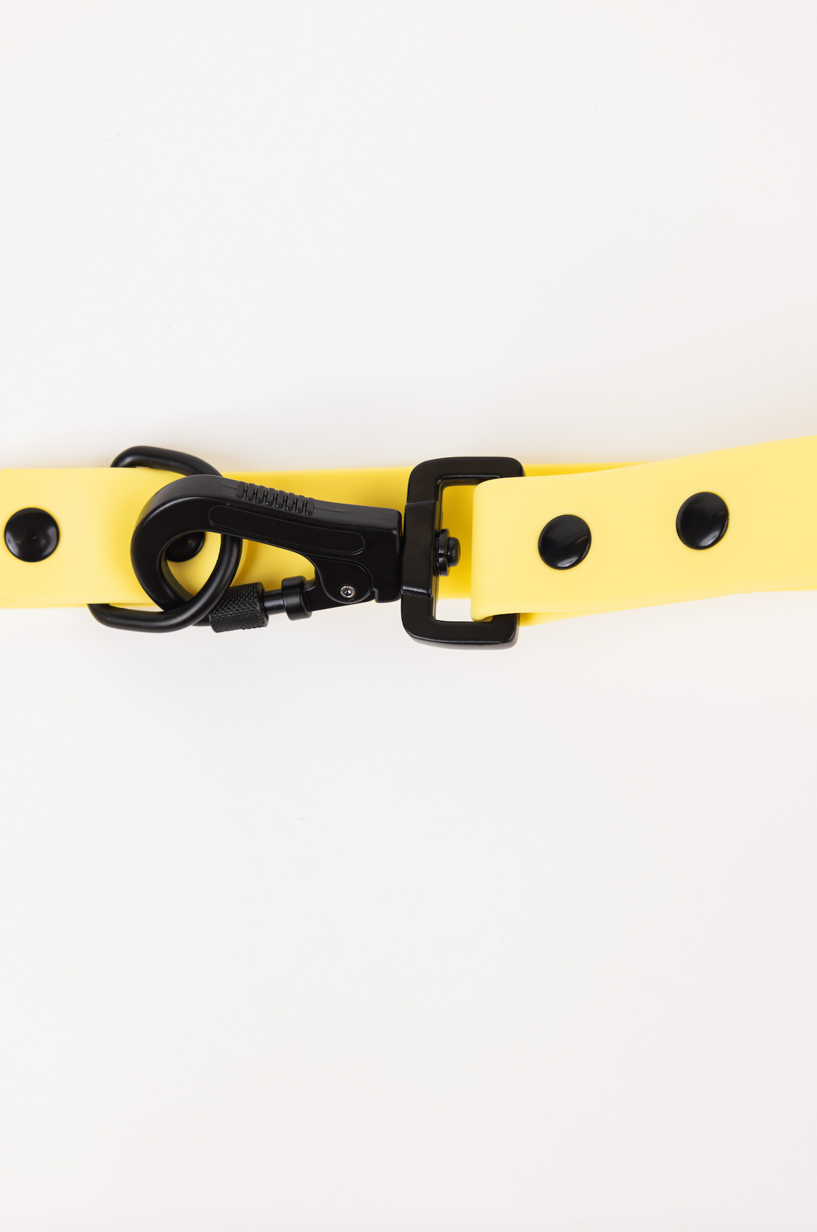 Dog Leash Accessory Daffodil Yellow Everyday Accessory Essen - detail product image for dog leash