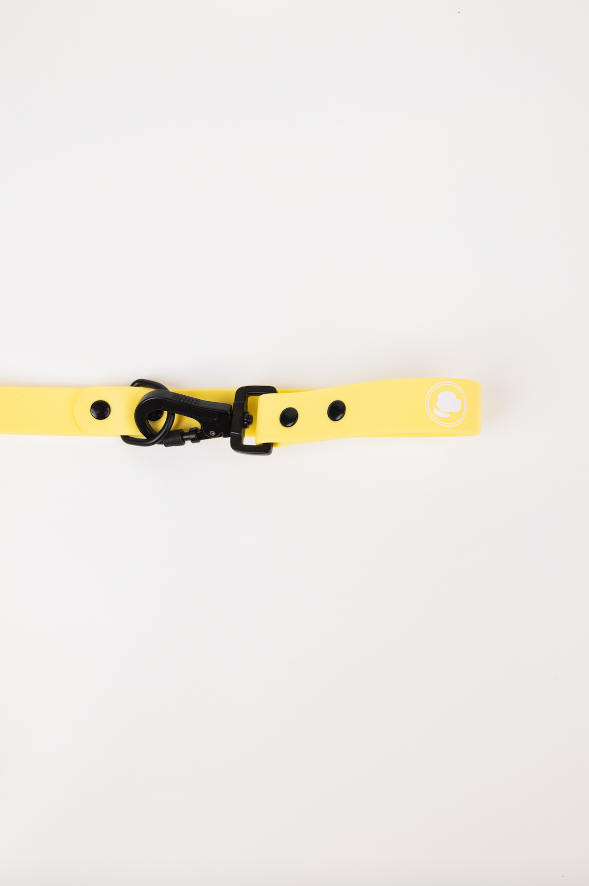 Dog Leash Accessory Daffodil Yellow Everyday Accessory Essen - lifestyle product image for dog leash