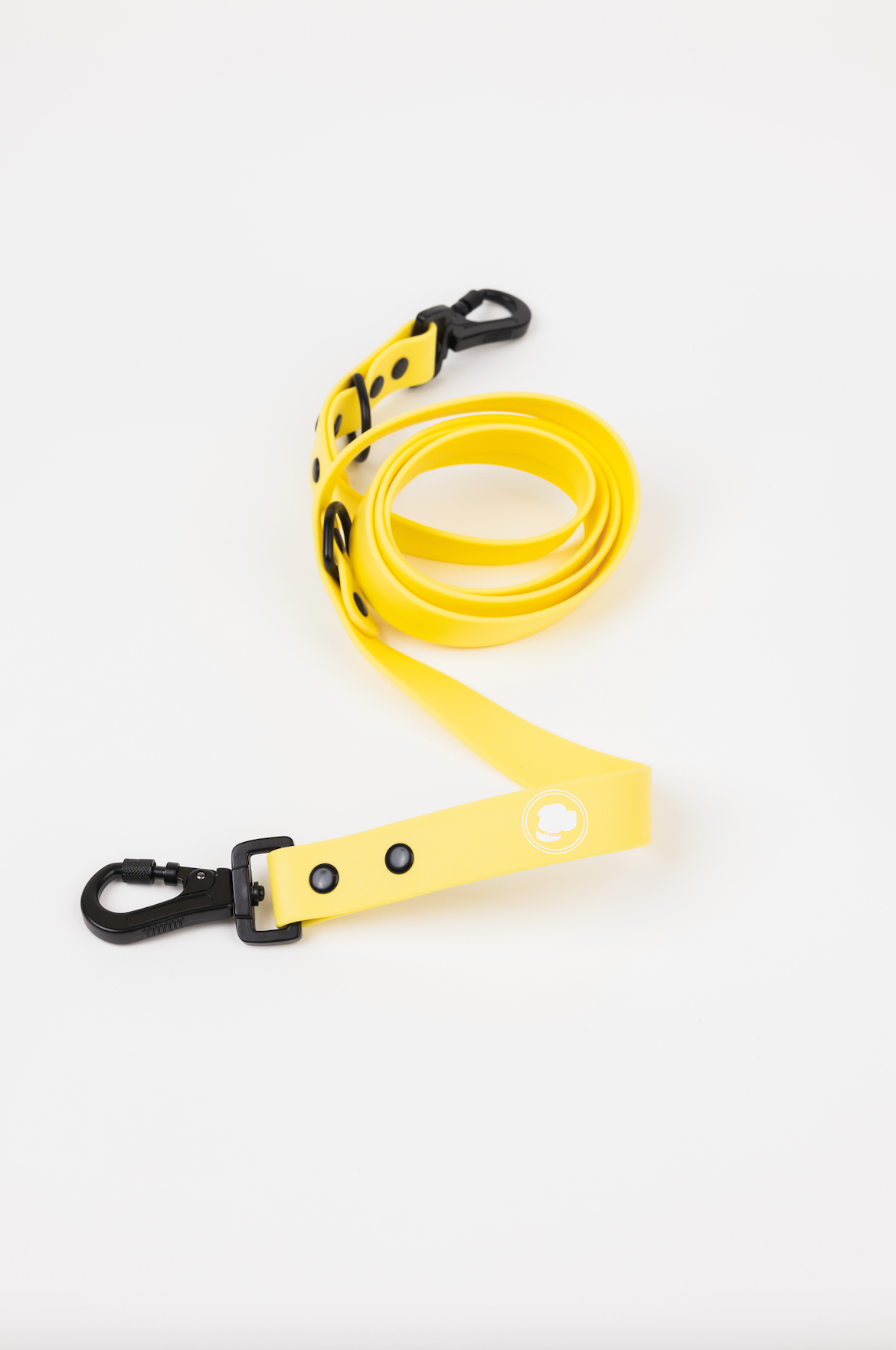 Dog Leash Accessory Daffodil Yellow Everyday Accessory Essen - main product image for dog leash