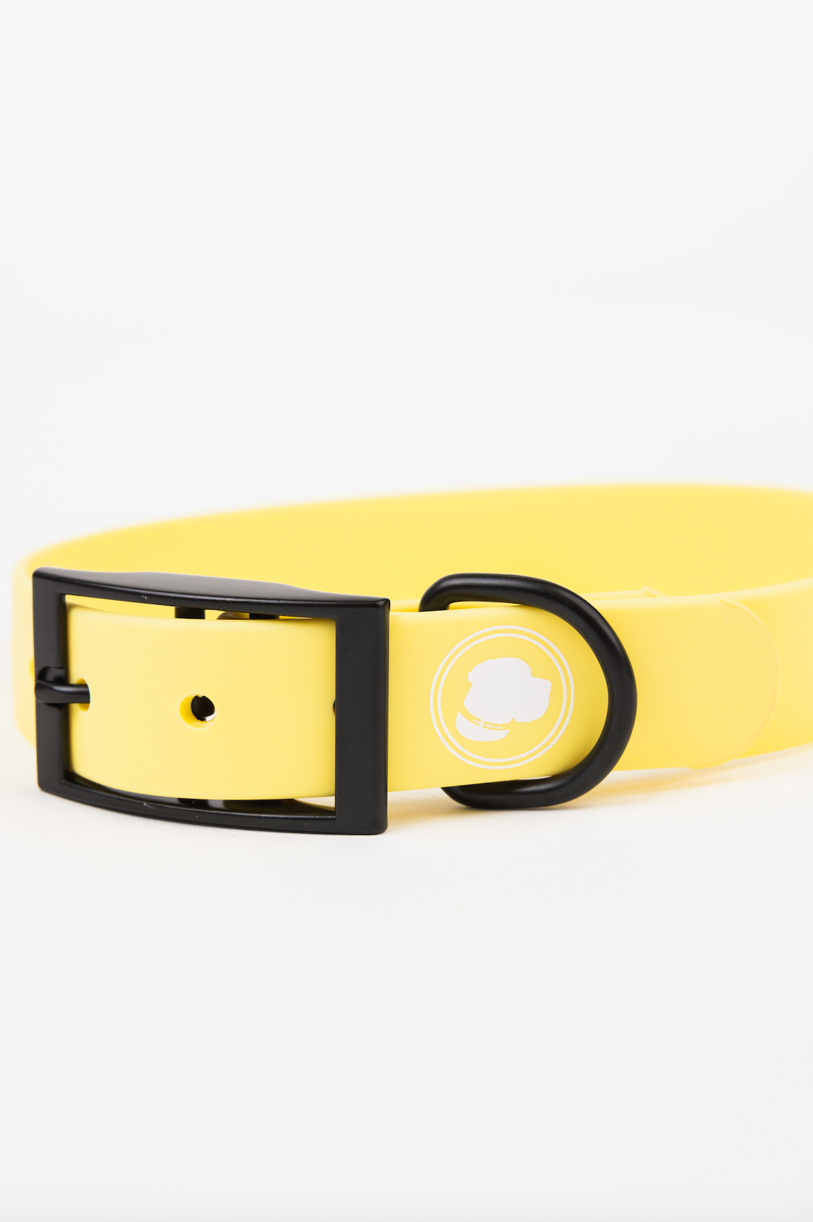 Dog Collar Collar Daffodil Yellow Adjustable Walking Collar - detail product image for dog collar