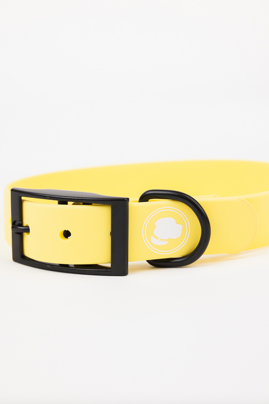 Dog Collar Collar Daffodil Yellow Adjustable Walking Collar - detail product image for dog collar