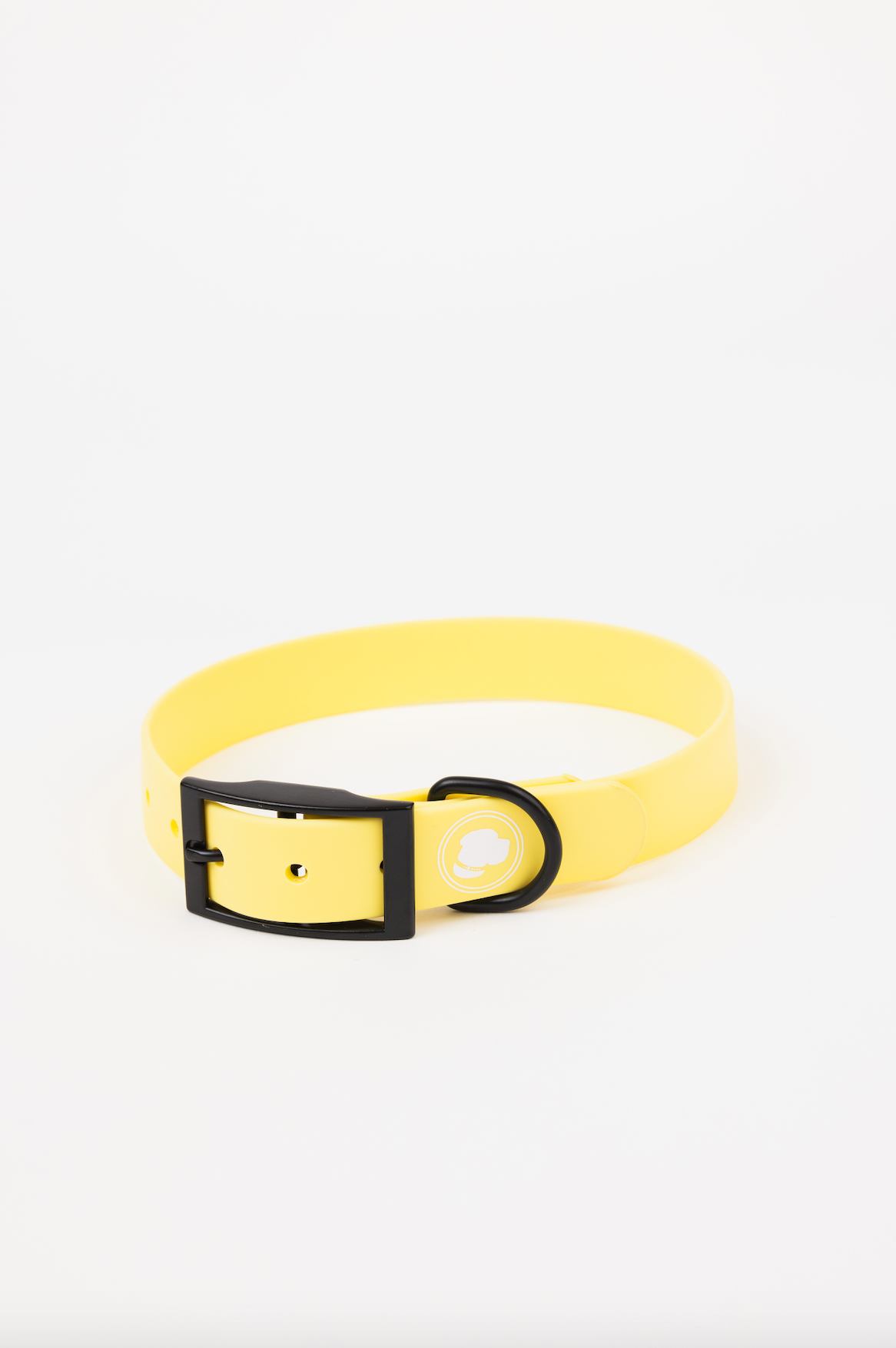 Dog Collar Collar Daffodil Yellow Adjustable Walking Collar - main product image for dog collar