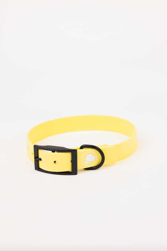 Dog Collar Collar Daffodil Yellow Adjustable Walking Collar - main product image for dog collar