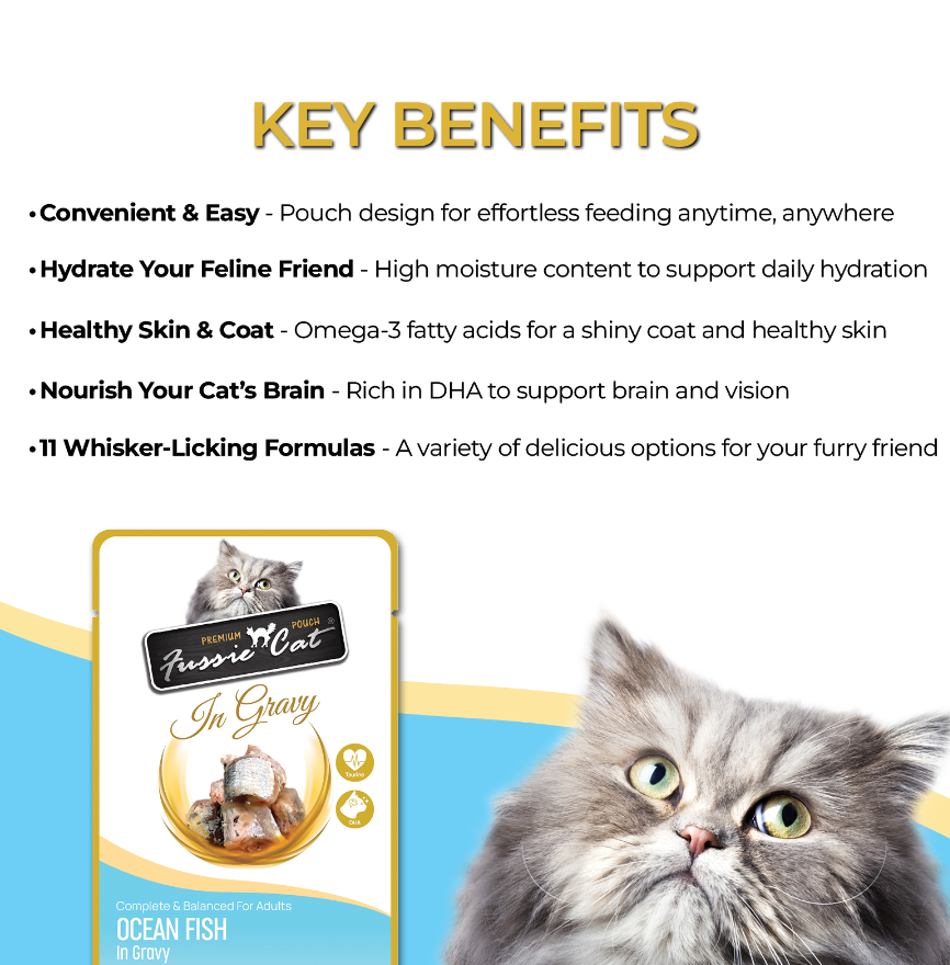 Fussie Cat Pouch Ocean Fish In Gravy 2 47Oz Wet Cat Food - lifestyle view