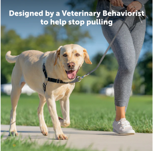 Dog Harness Adjustable Walking Vest Premium Small Comfort - detail view