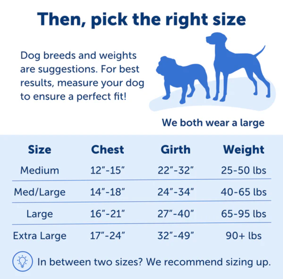 Dog Harness Adjustable Walking Vest Premium Large Comfort - gallery image 6
