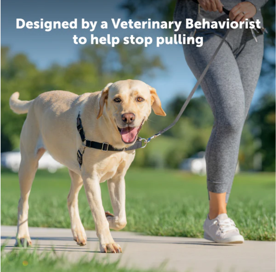 Dog Harness Adjustable Walking Vest Premium Large Comfort - detail view