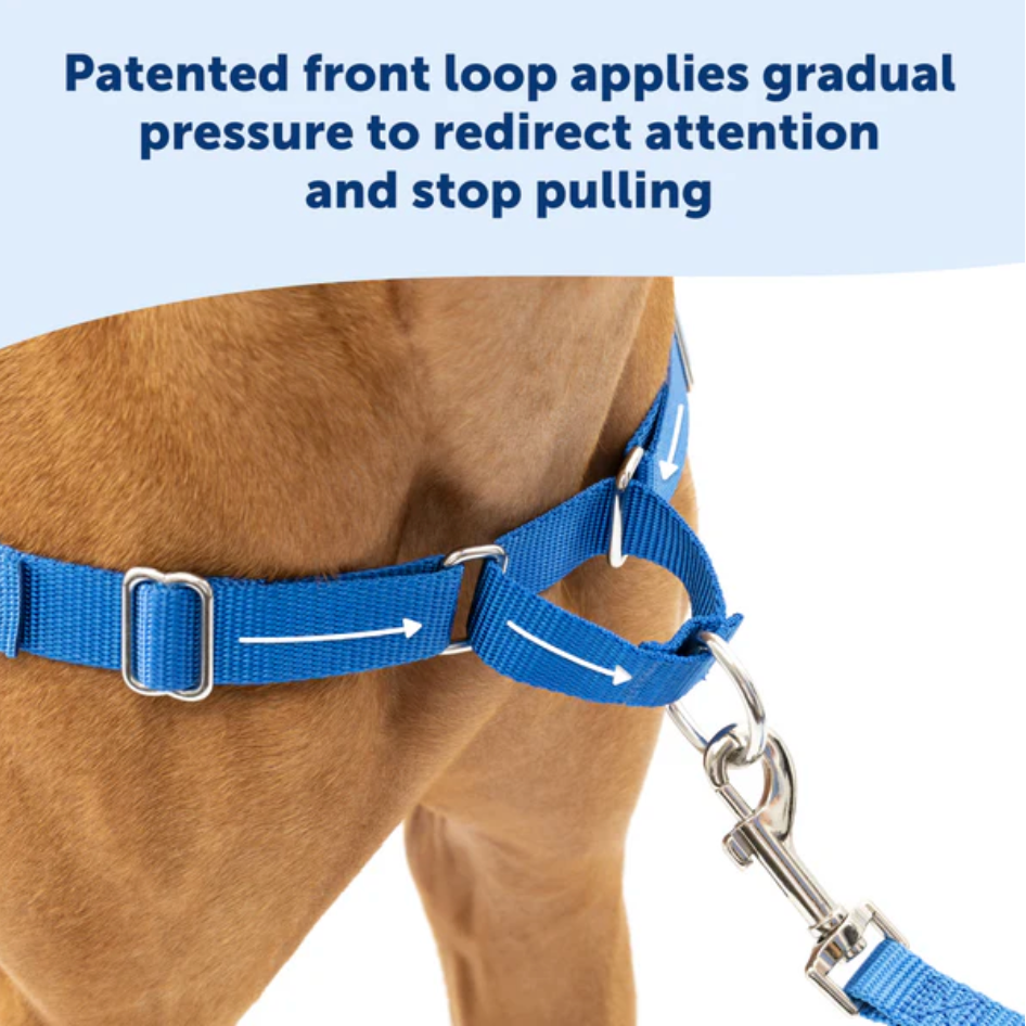 Dog Harness Adjustable Walking Vest Premium Large Comfort - lifestyle view