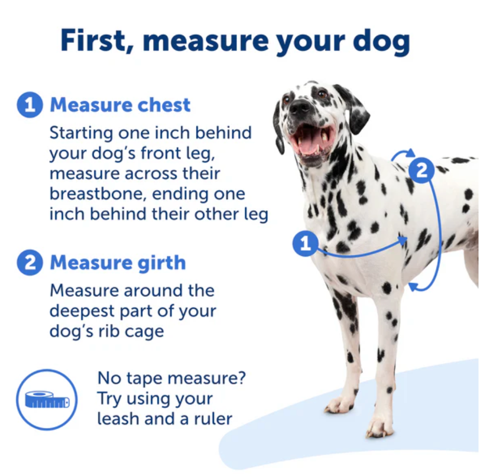 Dog Harness Adjustable Walking Vest Premium Large Comfort - close up view