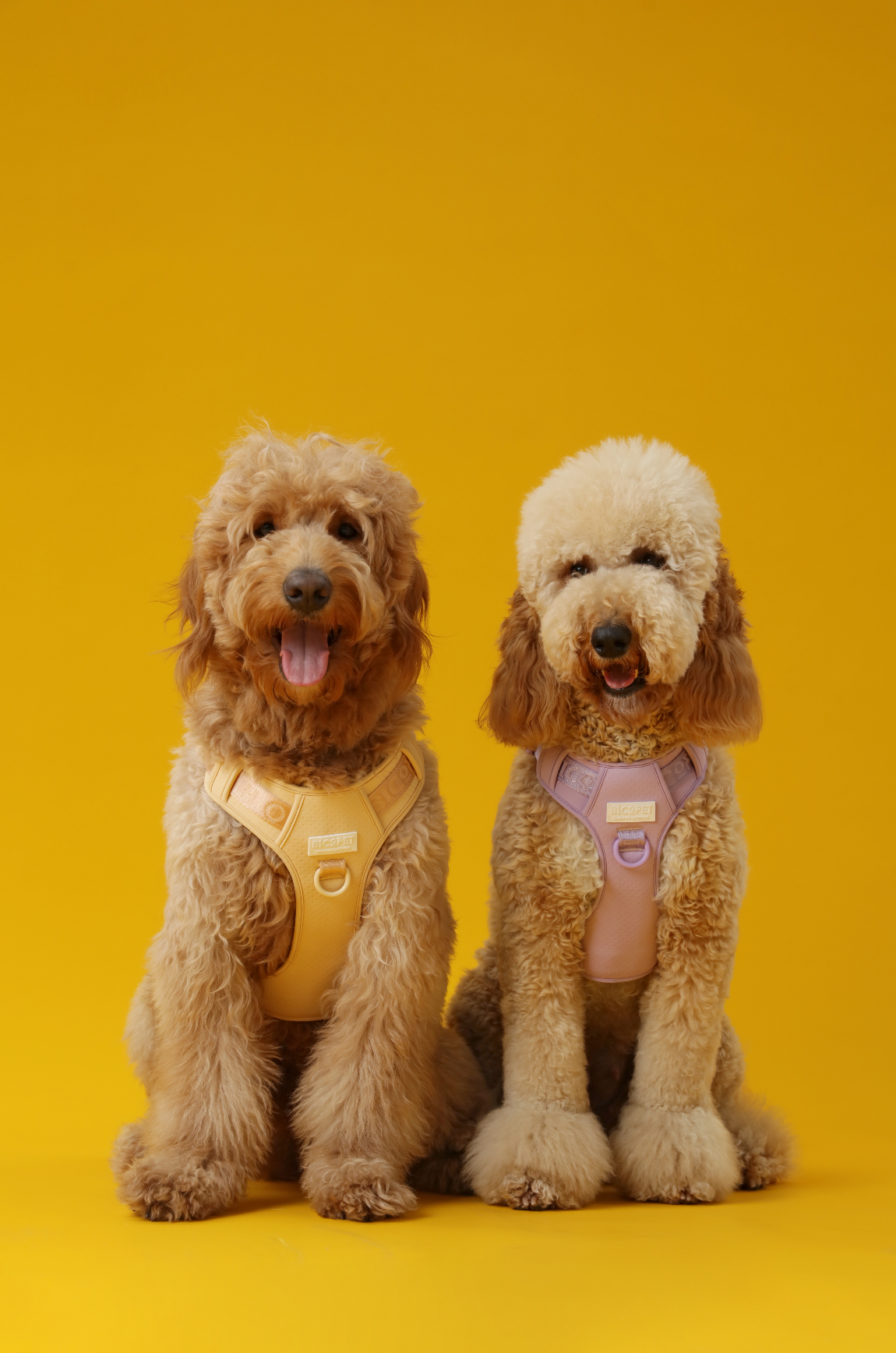 Dog Harness No Pull Active Fit Adjustable APRICOT Walking - gallery image 9