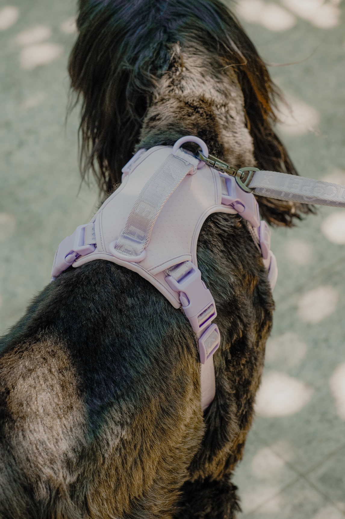 Dog Harness No Pull Active Fit Adjustable MINT PURPLE Walkin - gallery image 6
