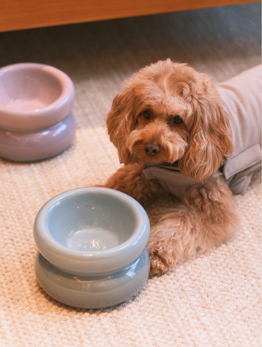Pet Feeders & Bowls Adjustable Blue Premium Pet Supply Premi - main product image