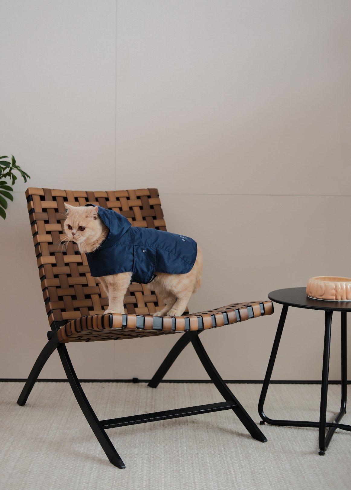 Capsule Raincoat Blue Dog Apparel Premium Pet Supply Premium - gallery image 7