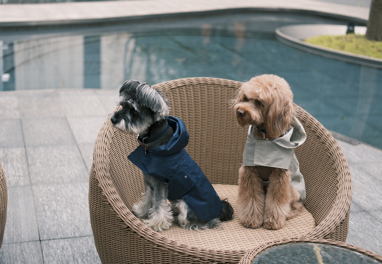 Capsule Raincoat Green Dog Apparel Premium Pet Supply - gallery image 11