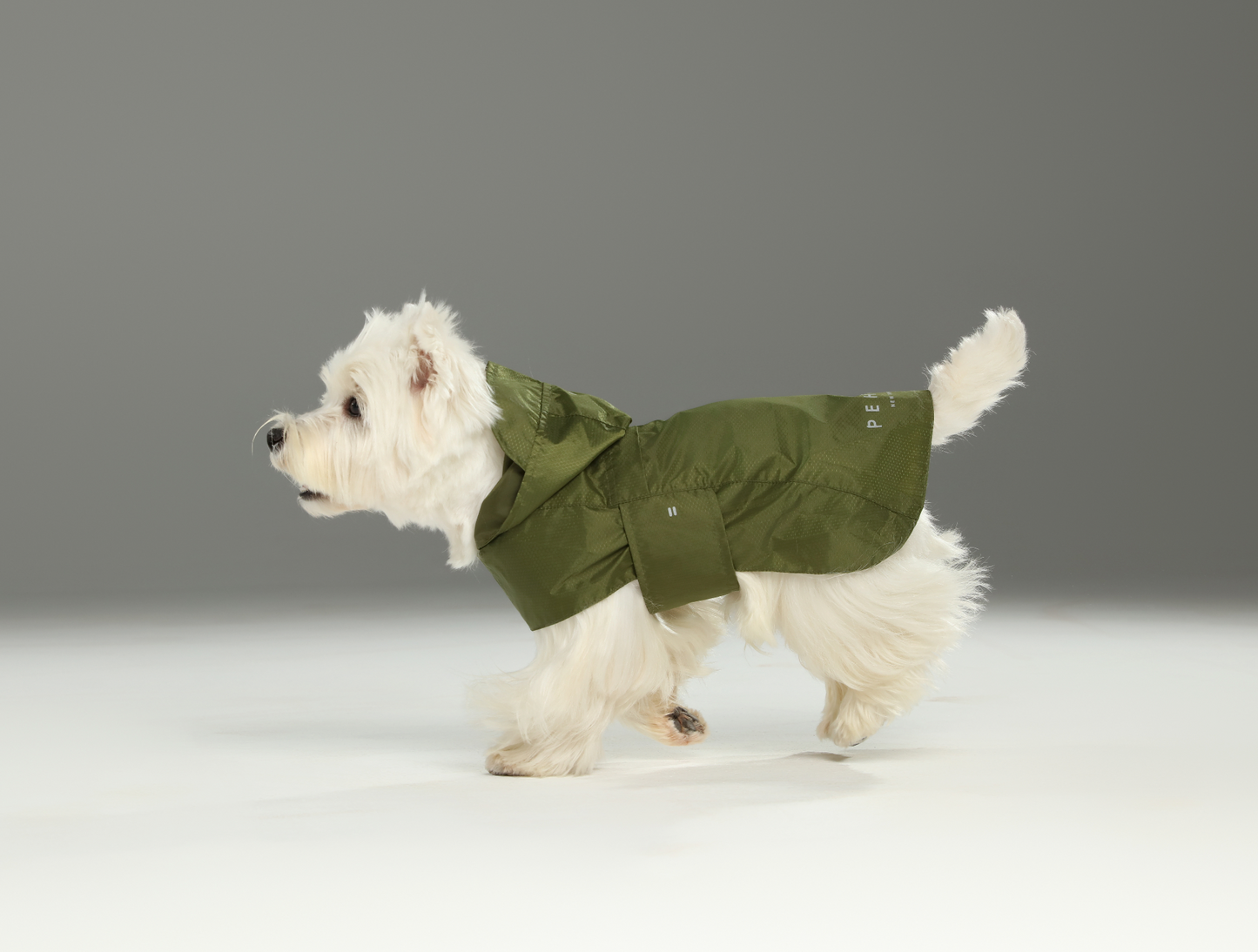 Capsule Raincoat Green Dog Apparel Premium Pet Supply - gallery image 6