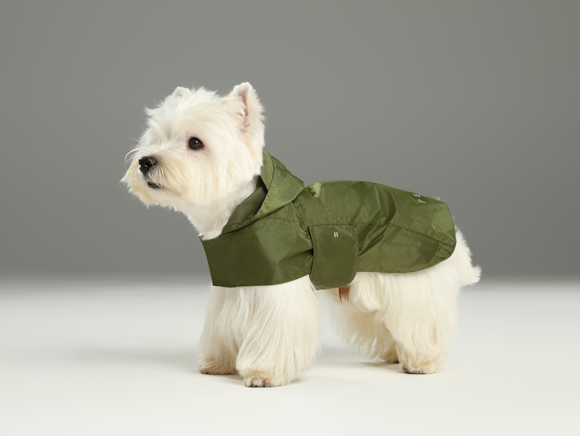 Capsule Raincoat Green Dog Apparel Premium Pet Supply - close up view