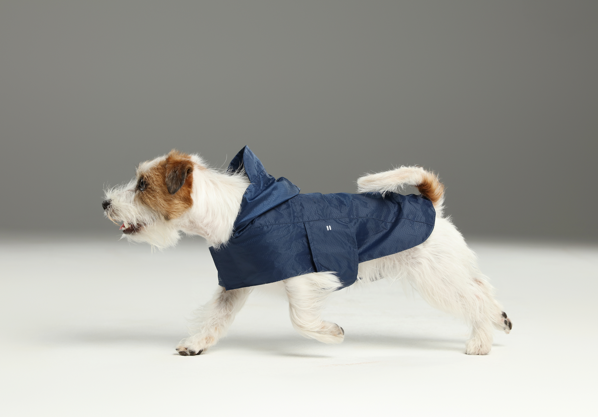 Capsule Raincoat Blue Dog Apparel Premium Pet Supply Premium - gallery image 6