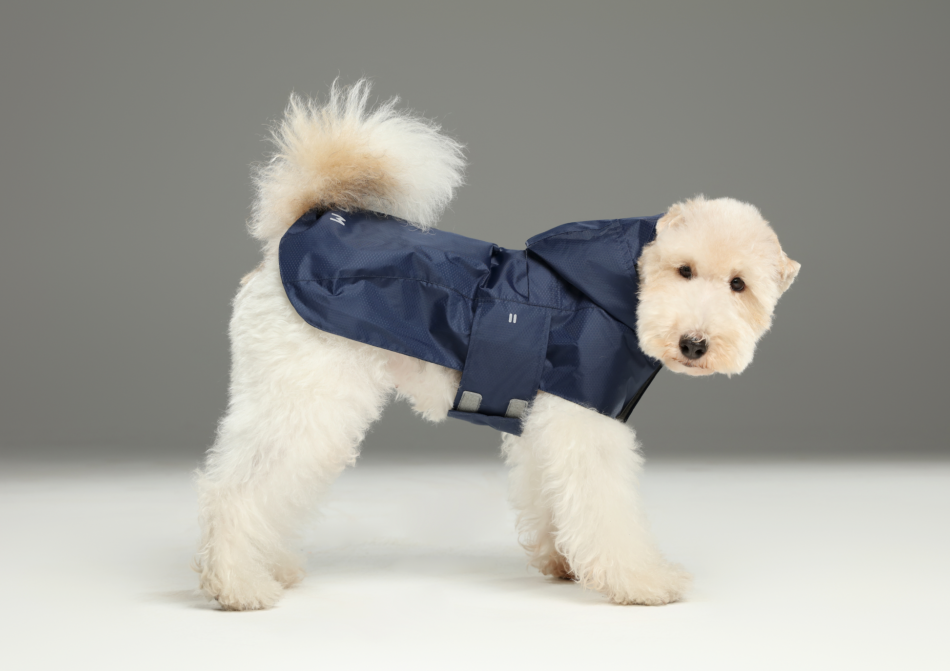 Capsule Raincoat Blue Dog Apparel Premium Pet Supply Premium - close up view