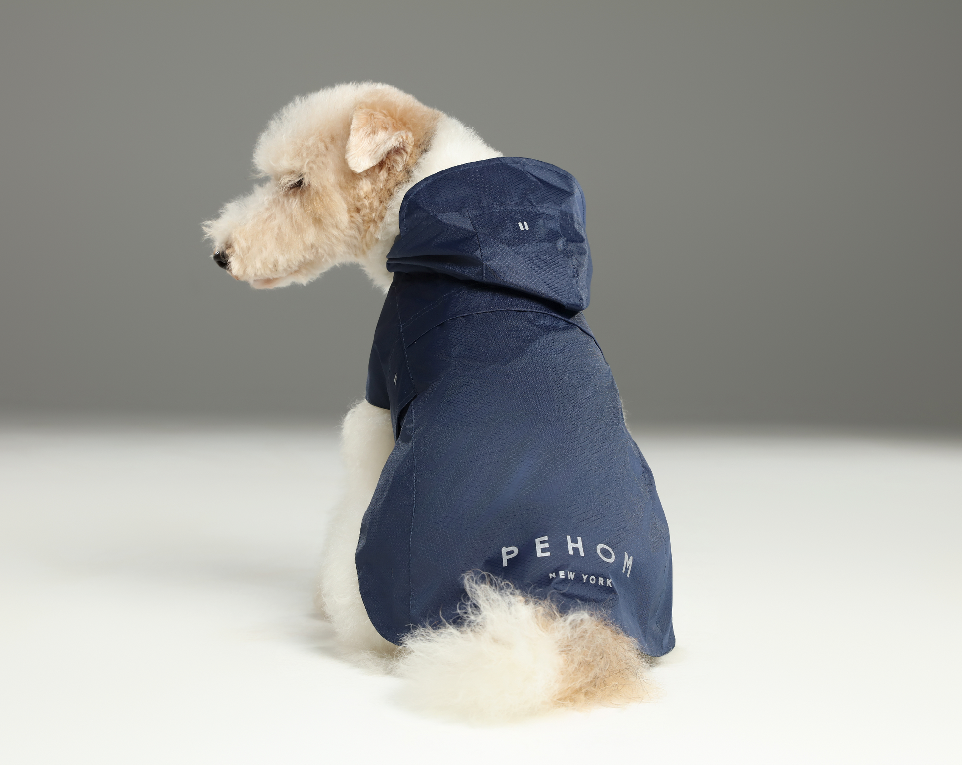 Capsule Raincoat Blue Dog Apparel Premium Pet Supply Premium - gallery image 5
