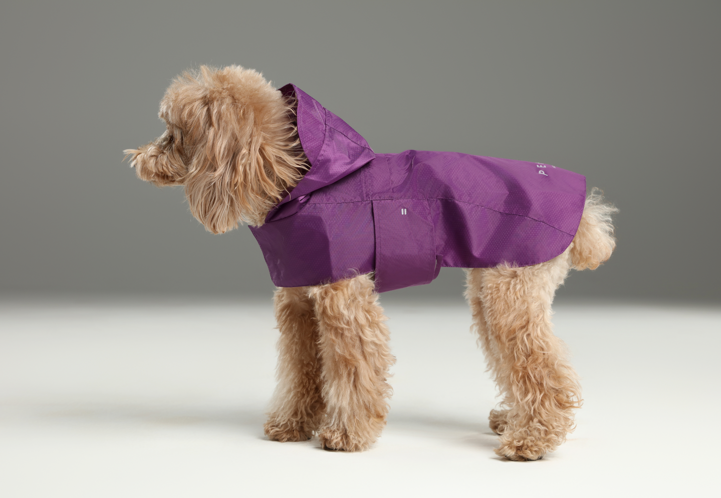 Capsule Raincoat Purple Dog Apparel Premium Pet Supply - gallery image 5