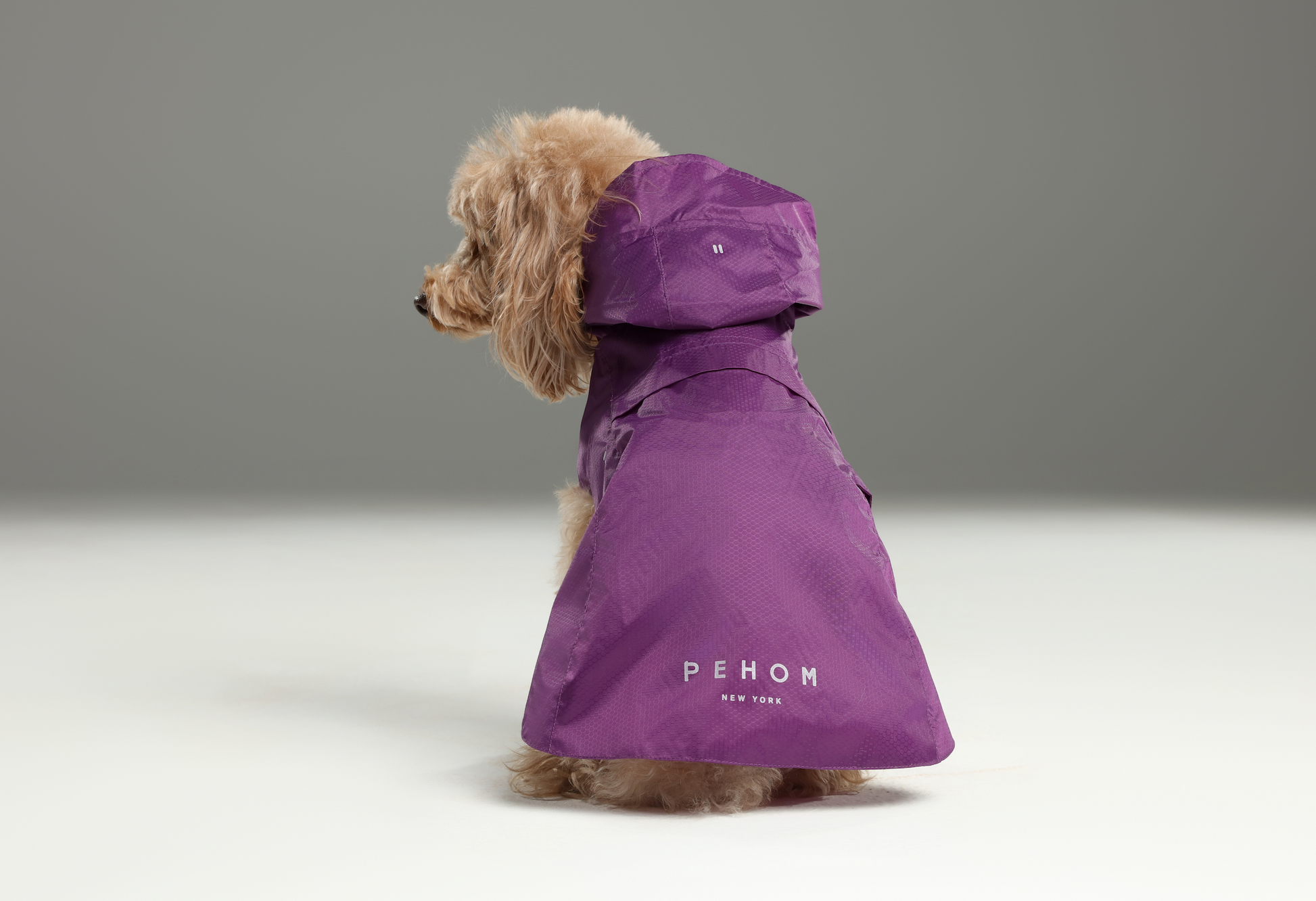 Capsule Raincoat Purple Dog Apparel Premium Pet Supply - close up view