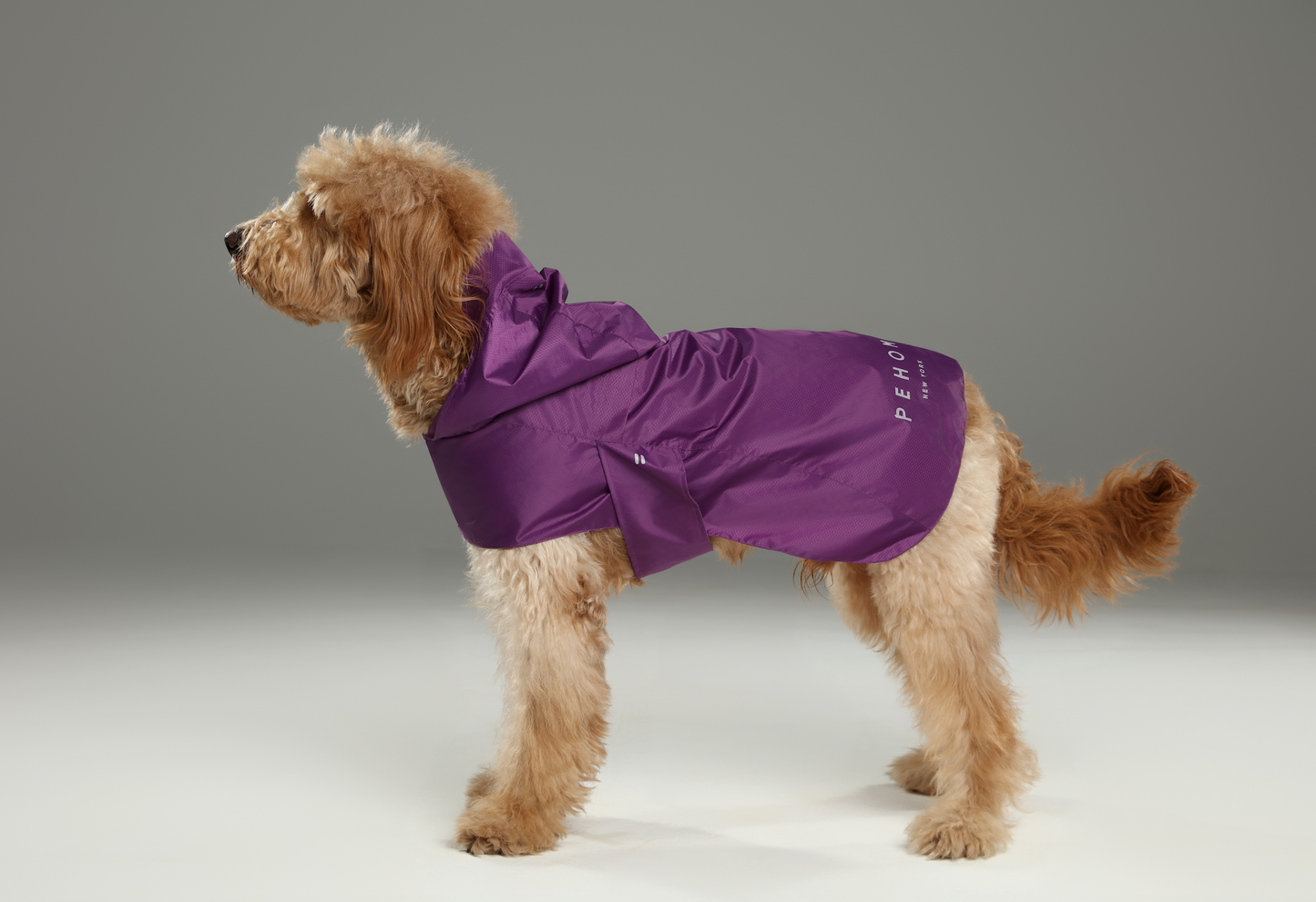 Capsule Raincoat Purple Dog Apparel Premium Pet Supply - gallery image 9