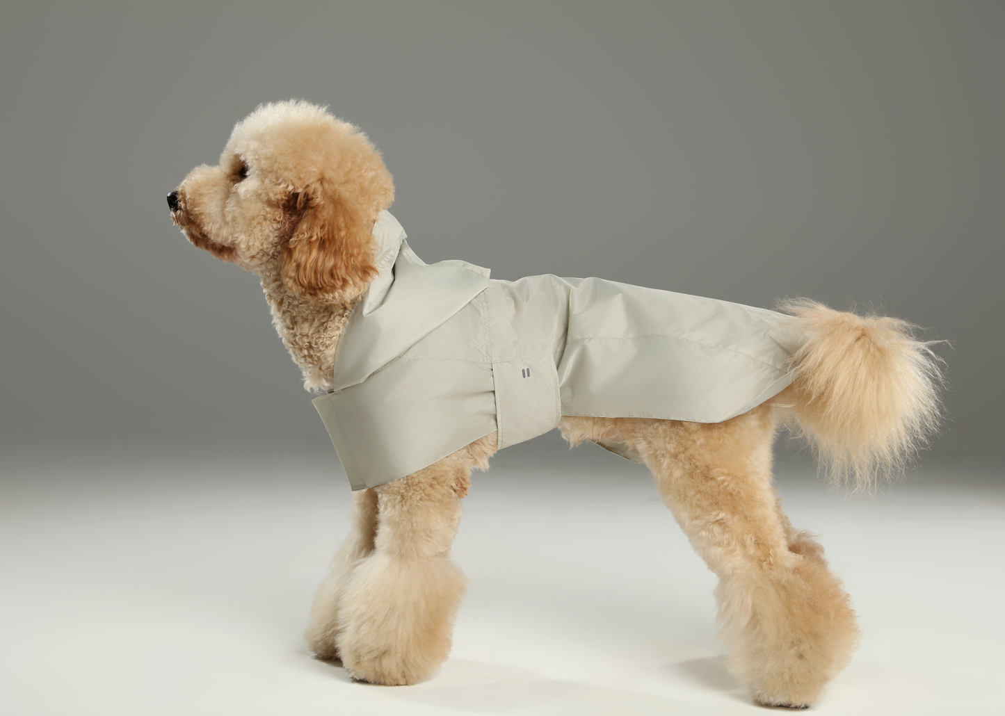 Capsule Raincoat Beige Dog Apparel Premium Pet Supply - close up view