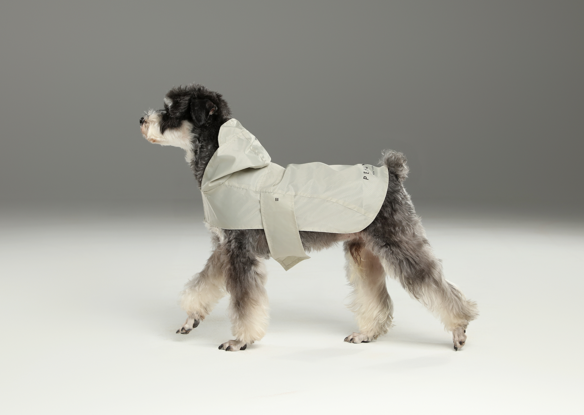 Capsule Raincoat Beige Dog Apparel Premium Pet Supply - gallery image 7