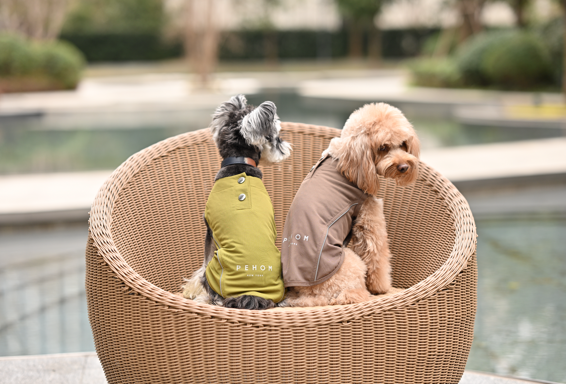 Chill Vest Shirt Green Dog Apparel Premium Pet Supply - gallery image 7