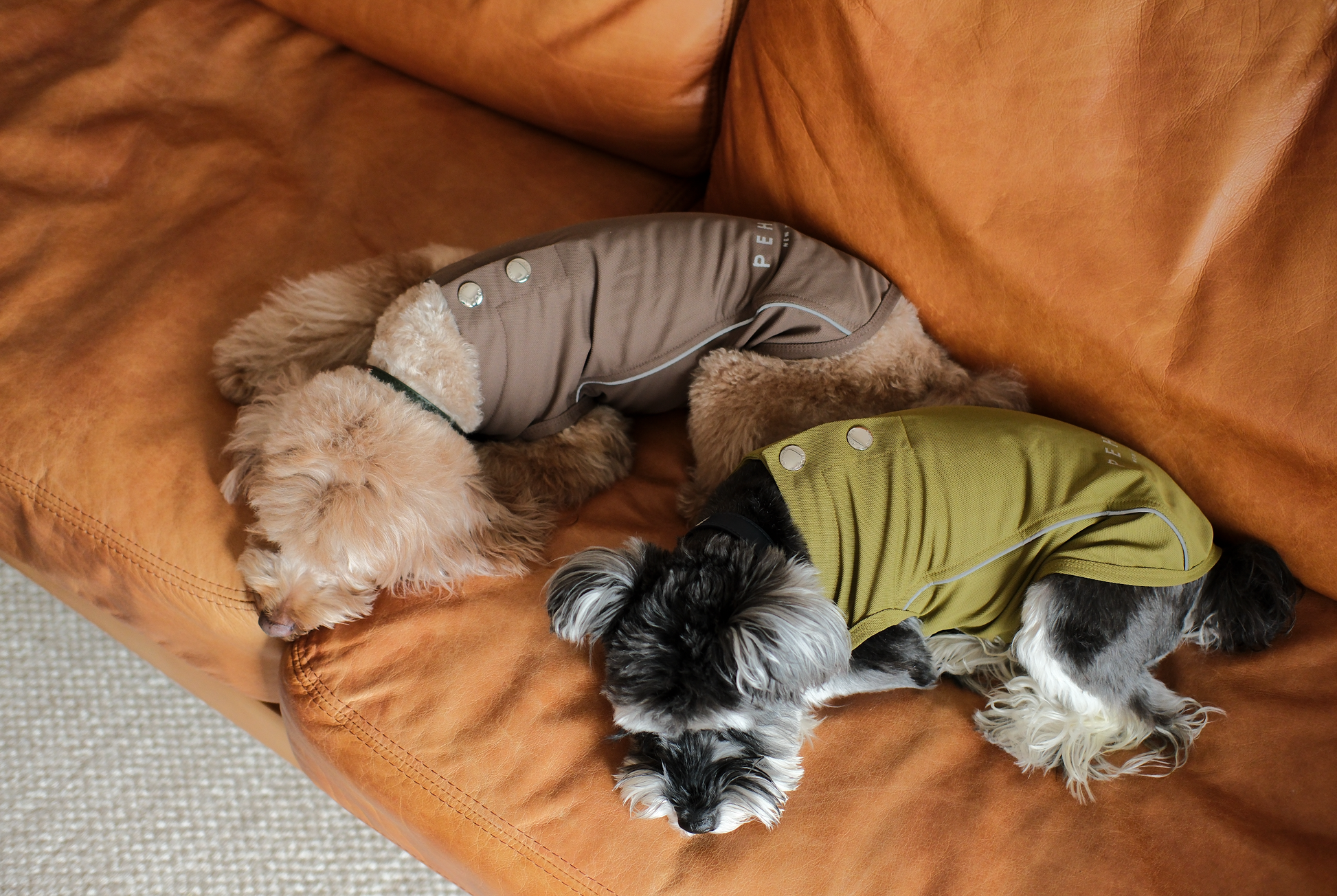 Chill Vest Shirt Mocha Dog Apparel Premium Pet Supply - gallery image 6
