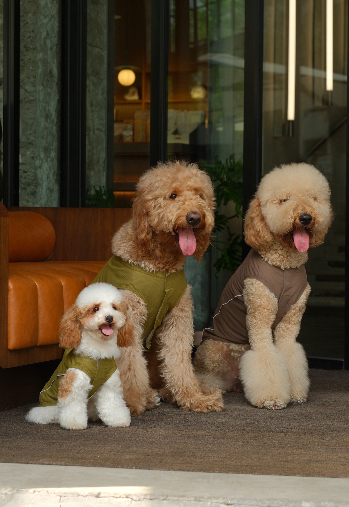 Chill Vest Shirt Mocha Dog Apparel Premium Pet Supply - gallery image 5