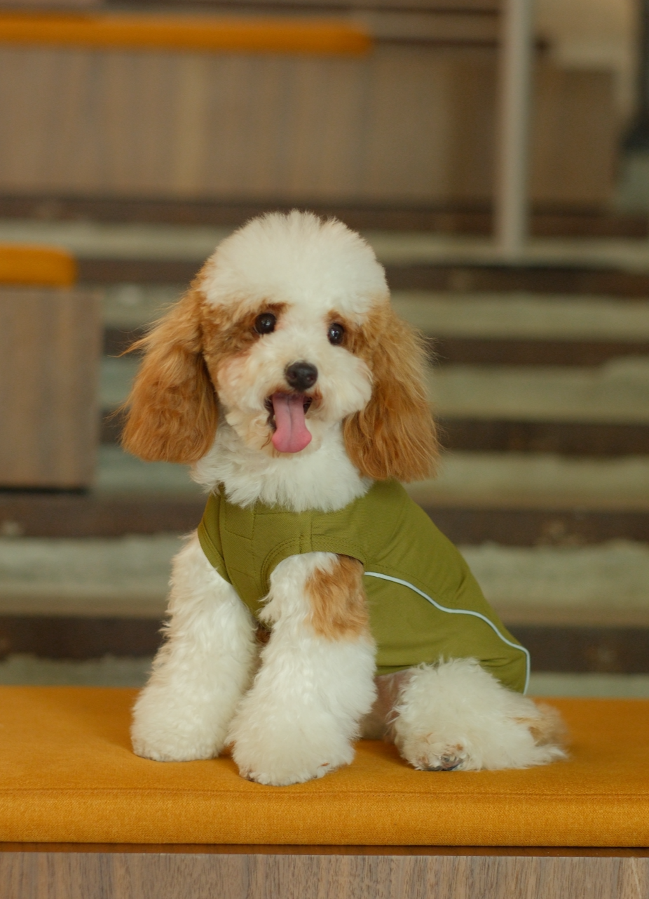 Chill Vest Shirt Green Dog Apparel Premium Pet Supply - close up view