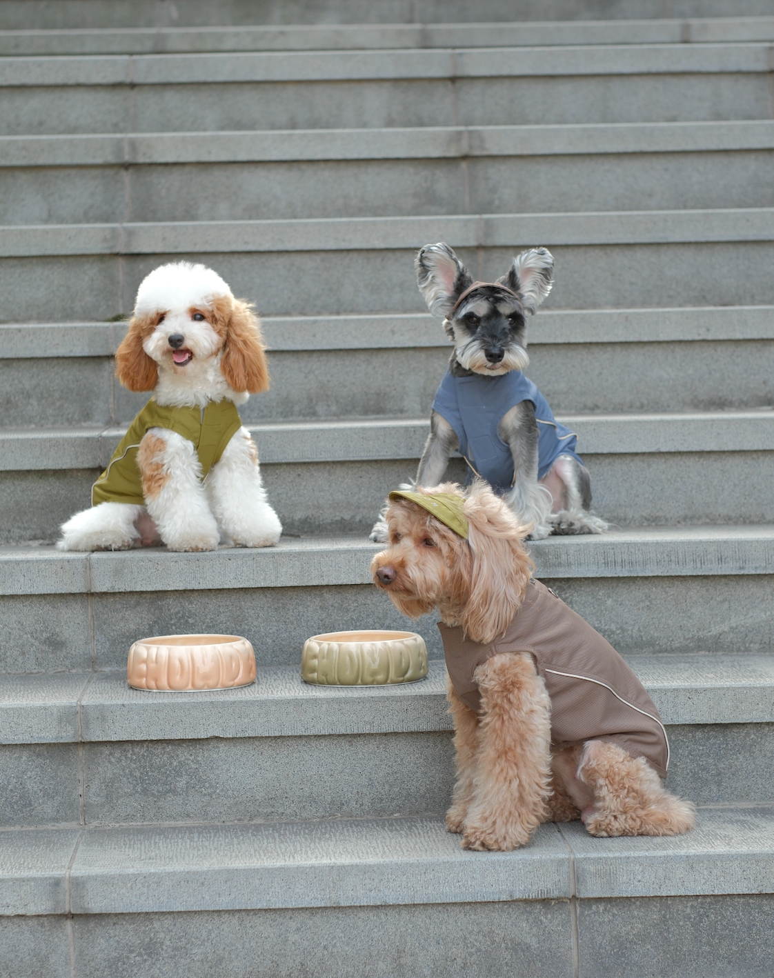 Chill Vest Shirt Mocha Dog Apparel Premium Pet Supply - gallery image 10