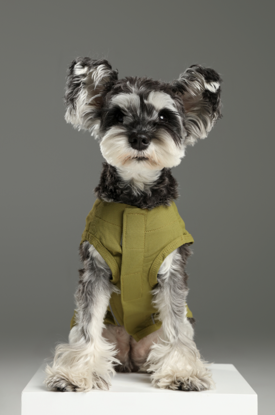 Chill Vest Shirt Green Dog Apparel Premium Pet Supply - lifestyle view