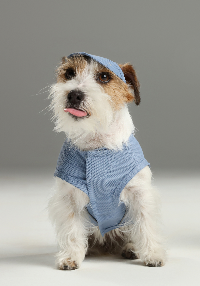 Chill Vest Shirt Blue Dog Apparel Premium Pet Supply Premium - detail view