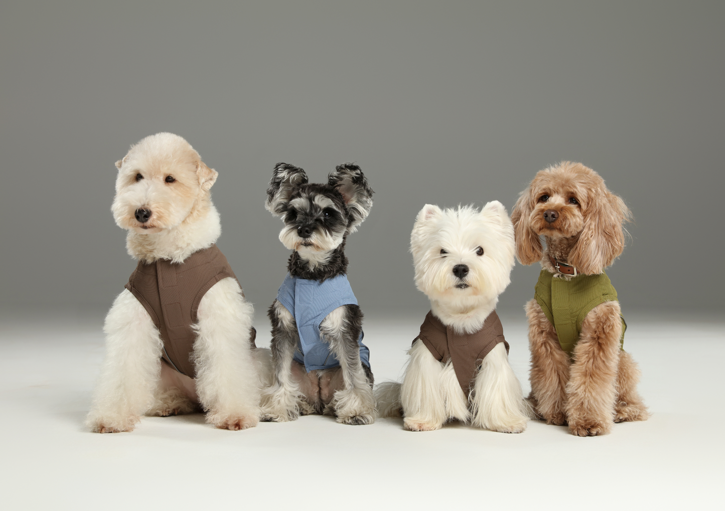 Chill Vest Shirt Blue Dog Apparel Premium Pet Supply Premium - gallery image 6