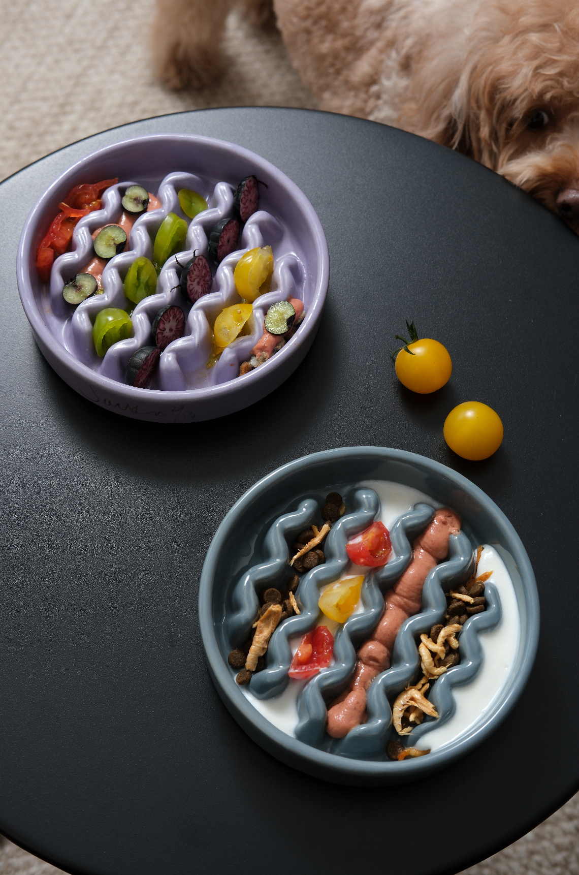 Pet Feeders & Bowls Adjustable Yellow Premium Pet Supply - close up view