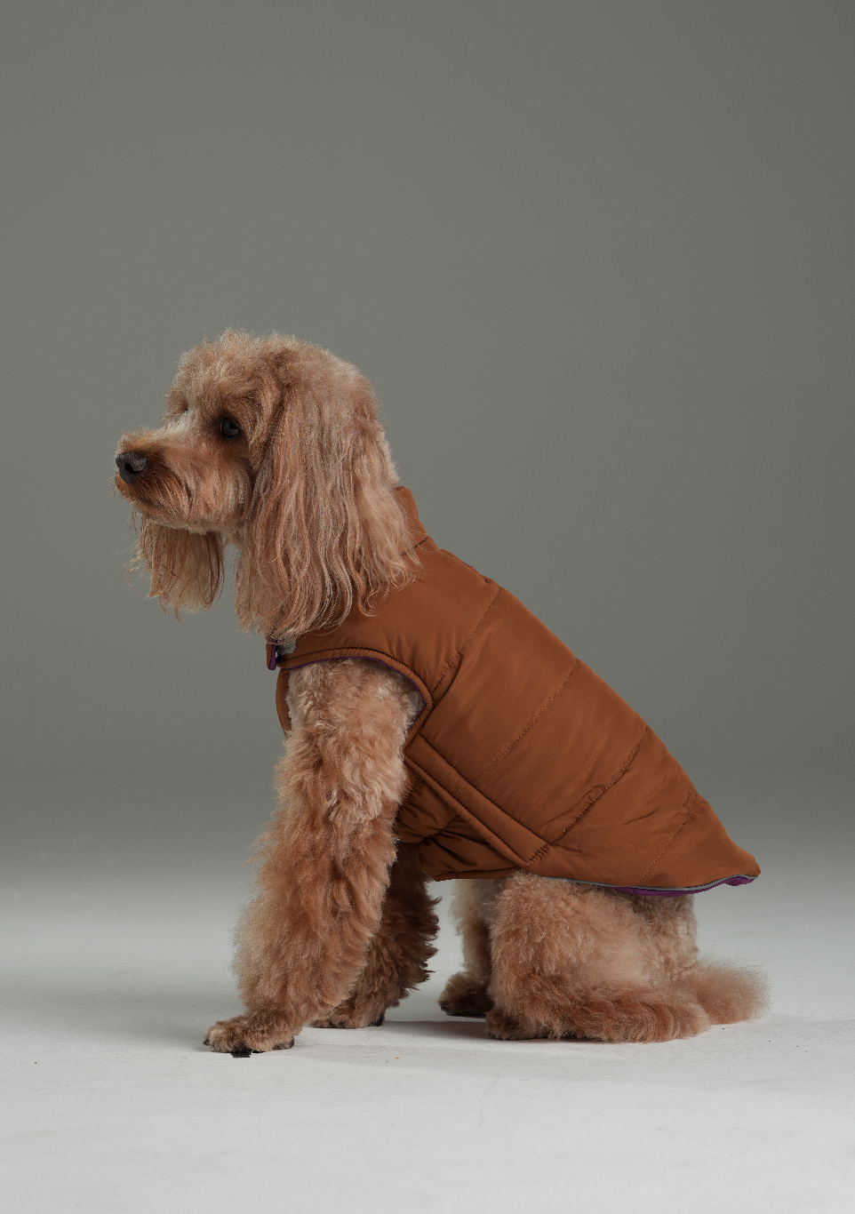 Reversible Dog Vest Jacket Purple Caramel Dog Apparel Pet - detail view