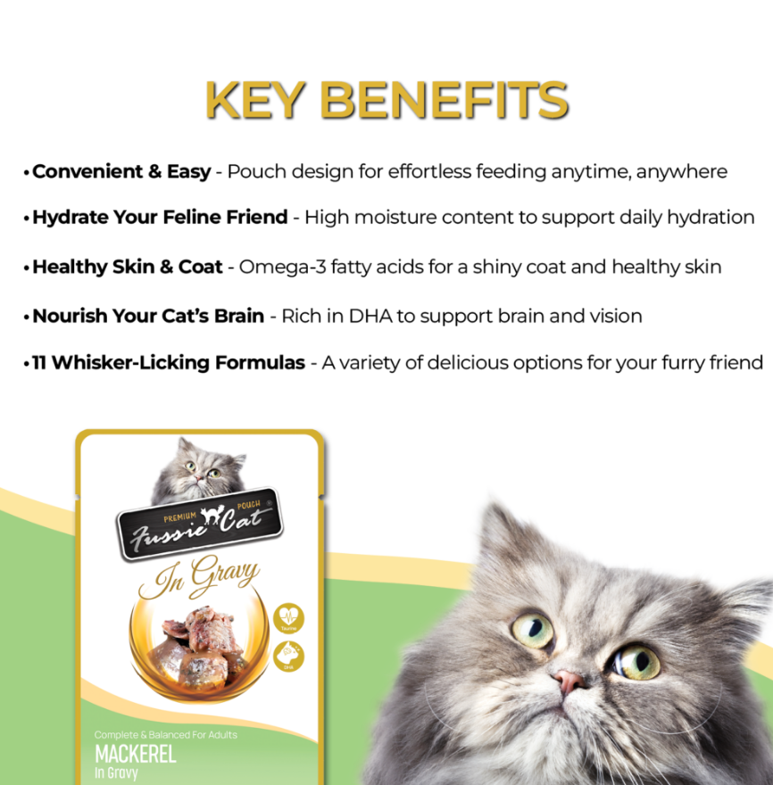 Fussie Cat Pouch Mackerel In Gravy 2 47Oz Wet Cat Food - lifestyle view