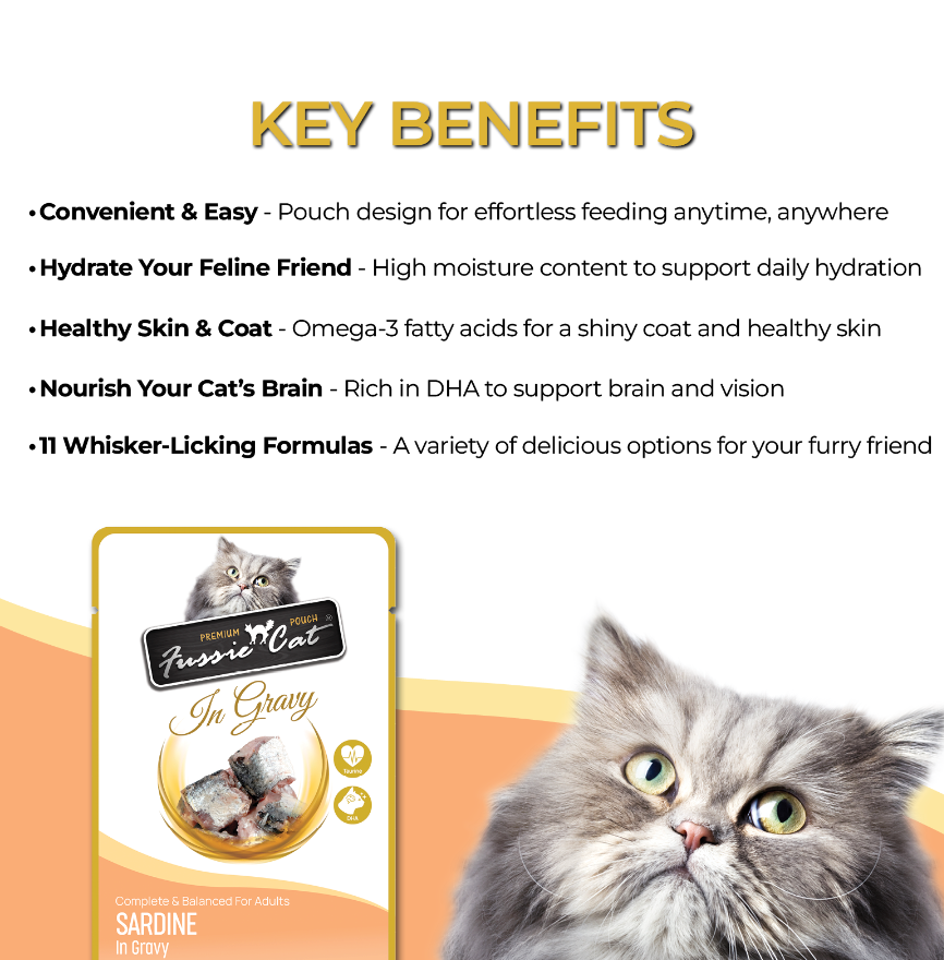 Fussie Cat Pouch Sardine In Gravy 2 47Oz Wet Cat Food - lifestyle view