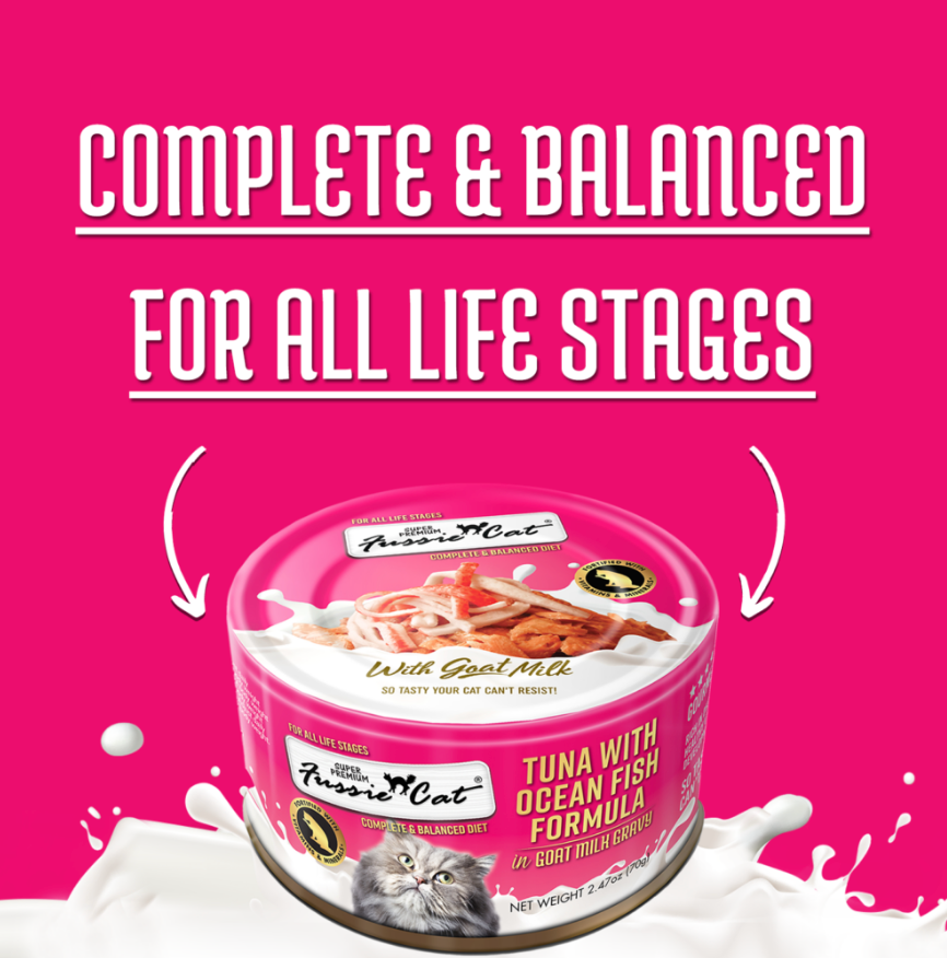 Fussie Cat Tuna With Oceanfish Formula In Goat Milk Gravy 2 - lifestyle view