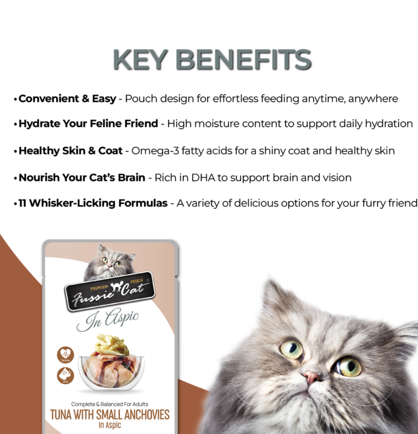 Fussie Cat Pouch Tuna With Small Anchovies In Aspic 2 47Oz - lifestyle view