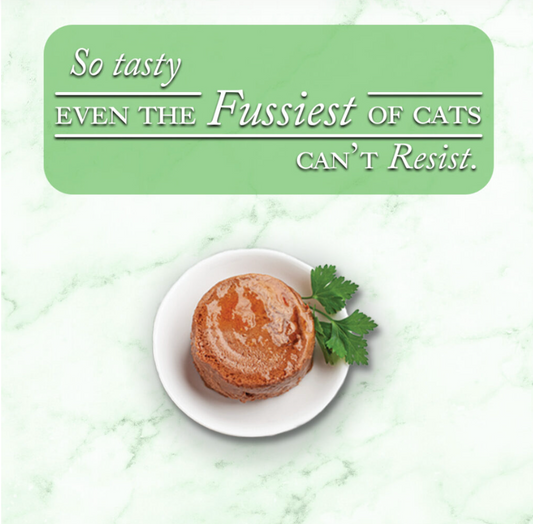 Fussie Cat Fine Dining Pate Oceanfish Entree In Gravy 2 82Oz - detail view