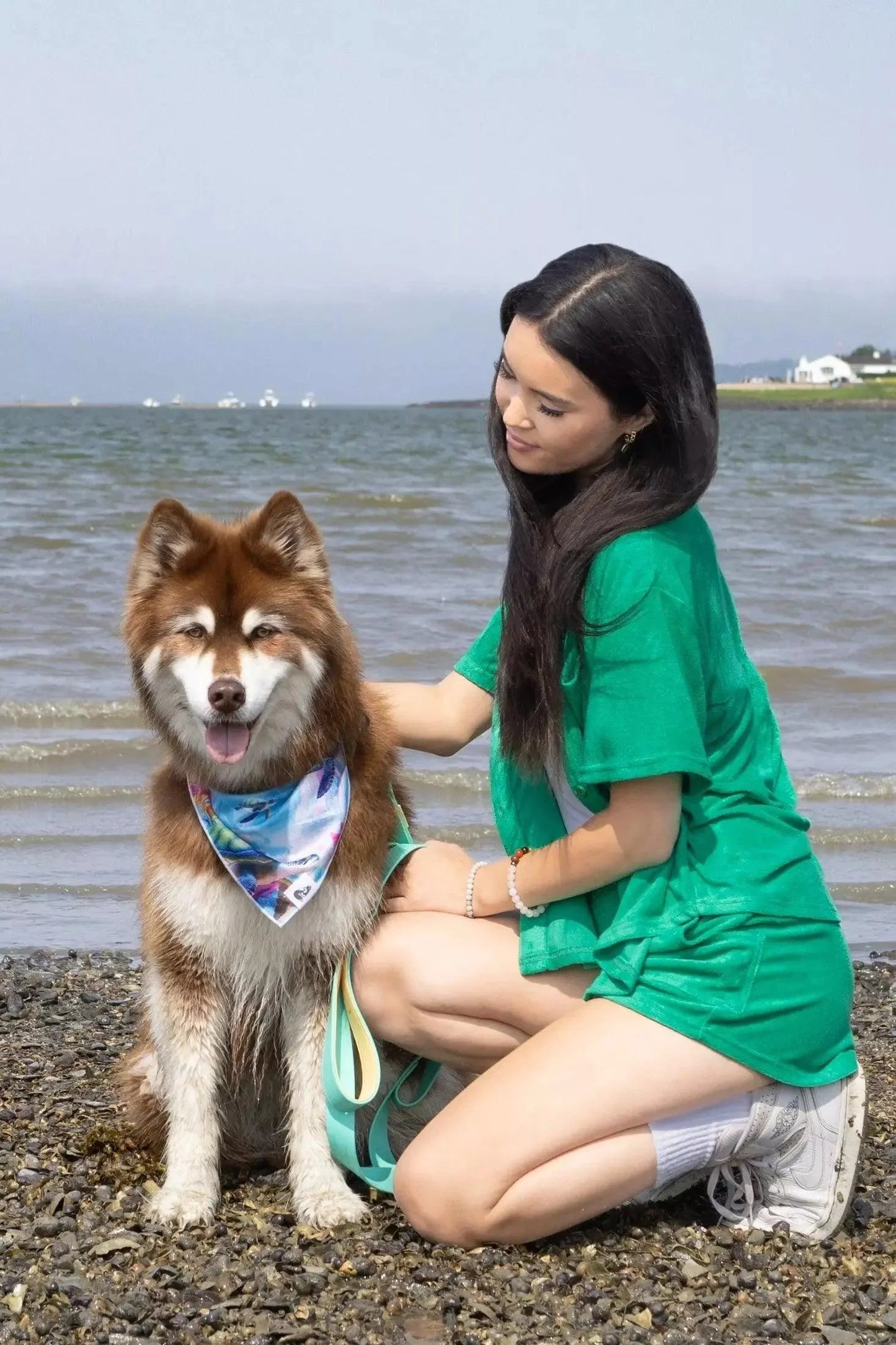 Sea Turtle Swim Dog Bandana Dog Bandanas Premium Pet Supply - lifestyle view