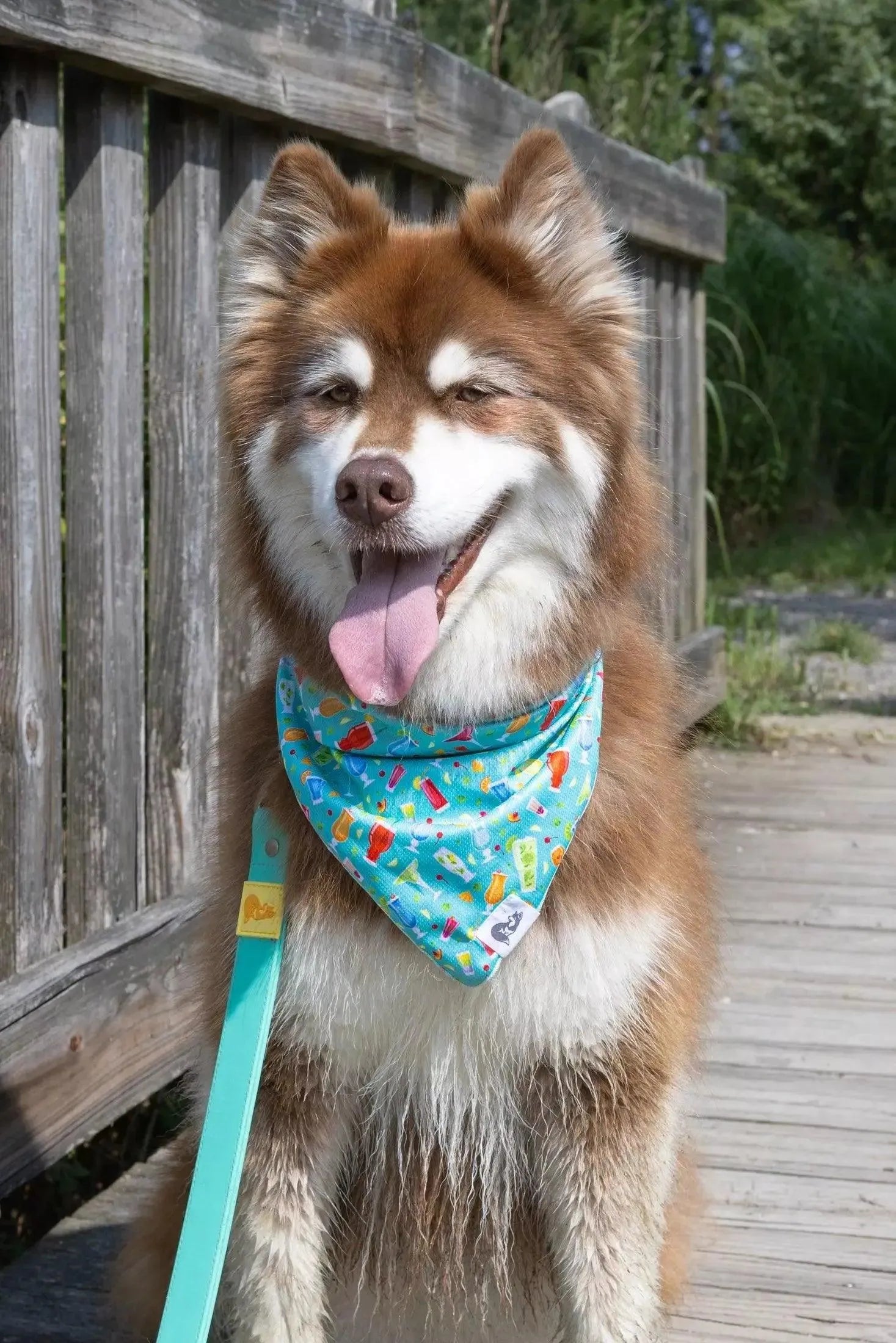 Seaside Sips Dog Bandana Matching Keychain Dog Bandanas Pet - lifestyle view