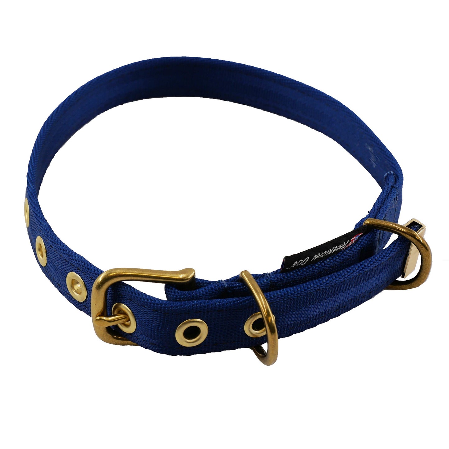 Dog Collar Adjustable Everyday Wear Medium Classic Premium - lifestyle view