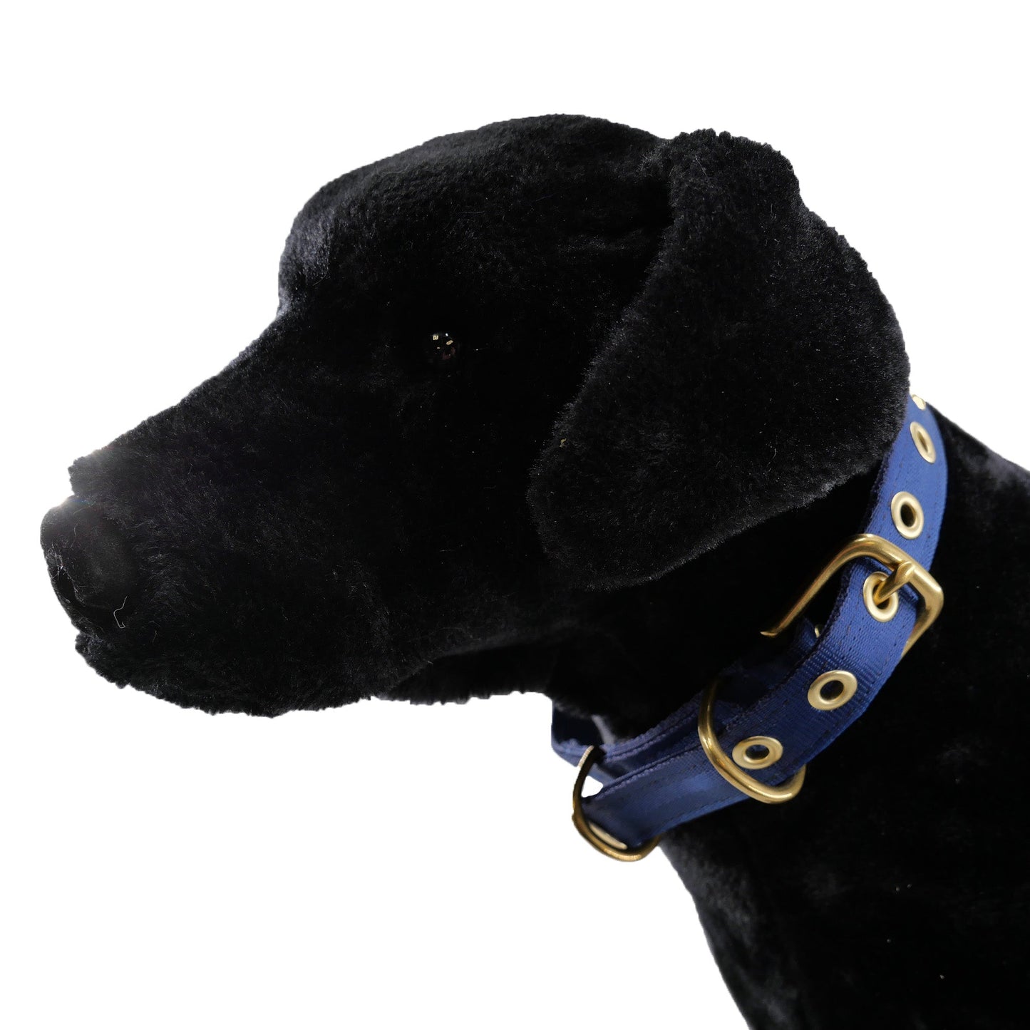 Dog Collar Adjustable Everyday Wear Medium Classic Premium - detail view