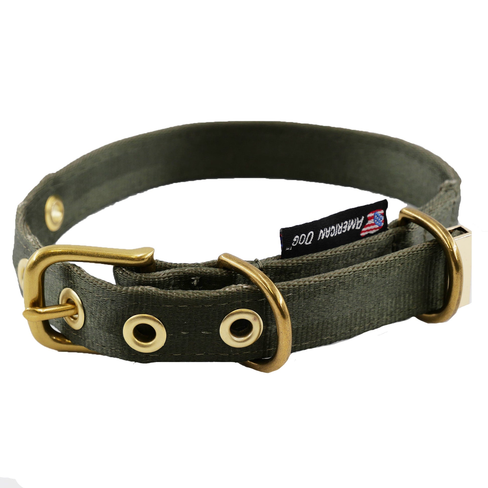 Dog Collar Adjustable Everyday Wear Medium Classic Premium - gallery image 15