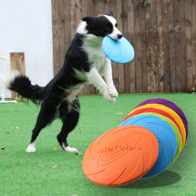 Bite Resistant Flying Disc Toys For Dog Multifunction Pet Puppy Training Toys Outdoor Interactive Game Pet Dogs Products - ma