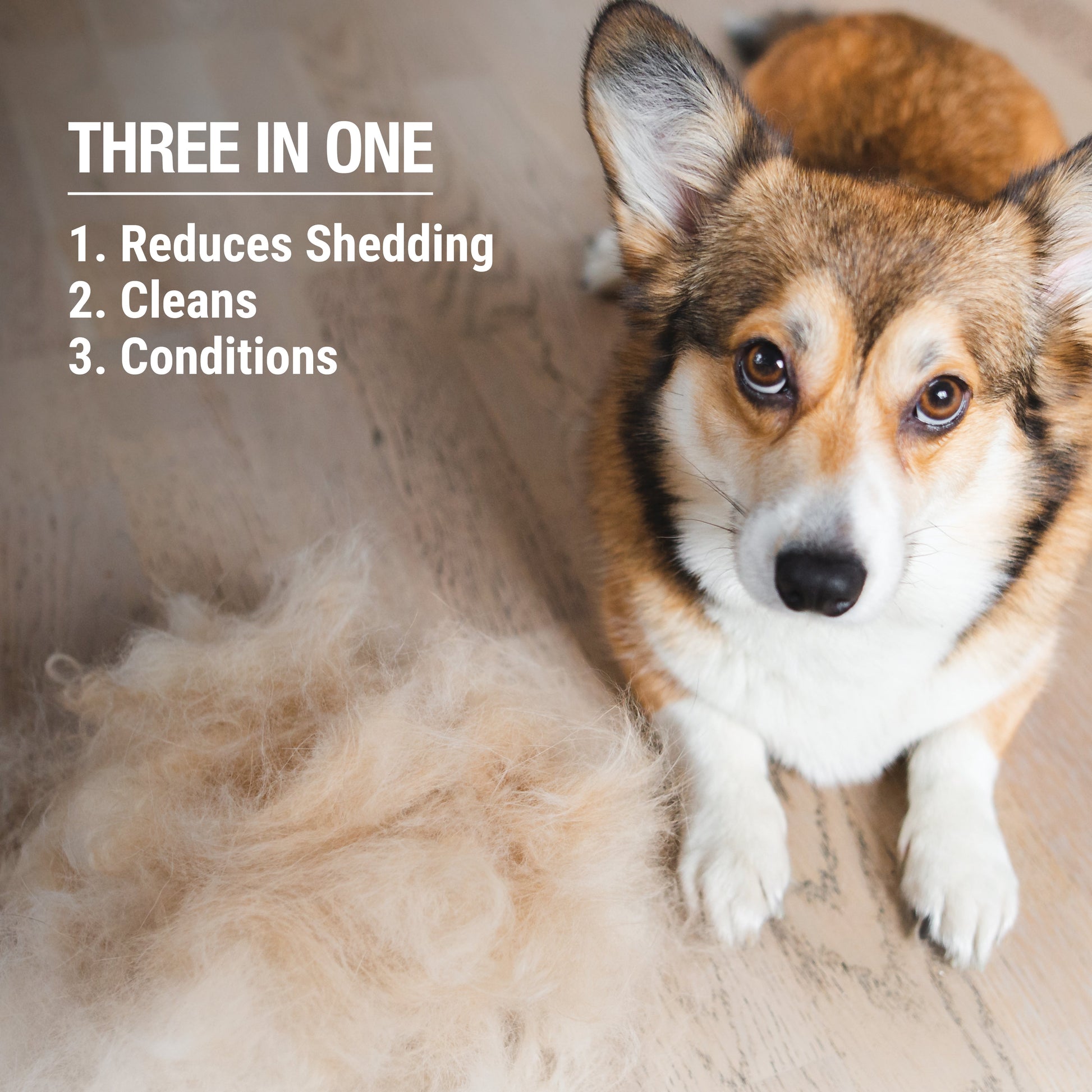 3-in-1 Shed Control Shampoo with Conditioner (Sweet Orange & Coconut) - lifestyle view | Pet Grooming Supplies at Purrfect